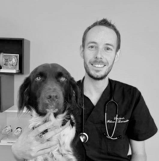 DVM. Fabian Lamouline